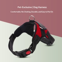 Ensemble Harnais et Laisse pour Chien, Conception Anti-Traction, Harnais pour Animaux de Compagnie en Tissu Oxford, Vente en Gros
