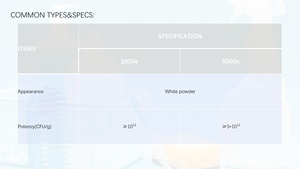 [Hosome]Lactobacillus Plantarum Formule <span class=keywords><strong>probiotique</strong></span> quotidienne Puissance fermentée pour une vitalité globale et un soutien de la santé intestinale - Product Image 3