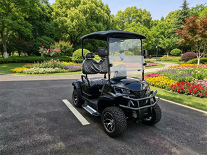 Carrito de Golf Smooth-Sail para 2 Personas con Asientos Cálidos, Agarre Sólido y Confiable para Césped y Terrenos No Públicos - Product Image 1