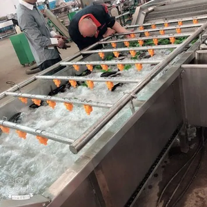 Máquina de lavado de alta presión con cepillo de rodillos para limpieza de zanahorias, patatas y frutas - Product Image 4