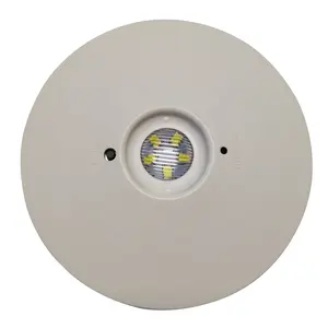 Flame Retardant ABS Customized Round Shape Led Ceiling Light Fire Emergency Rechargeable Lamp