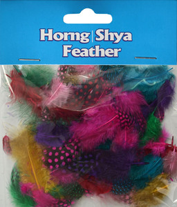 Lot de plumes artisanales teintes AC9 en sachet plastique, plumes de guinée pour <span class=keywords><strong>la</strong></span> décoration scolaire - Product Image 3