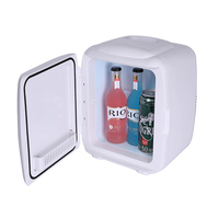 Refroidisseur thermoélectrique Portable AC/DC, vente en gros d'usine, pour les soins de la peau, les boissons, la maison, le bureau et la voiture