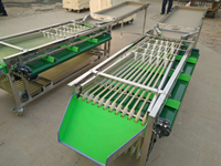 Kersen/Olijf/Dadelputverwerkingslijn Prijs/Fruit-En Groentesorteermachine Fruitsorteermachine