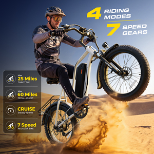 Vélo à pneus larges 20"x4.0, cadre en acier au carbone 750W, accélérateur à poignée 48V13Ah, stock en gros entrepôt USA, expédition 3-7 jours M20-2 20 pouces - Product Image 6
