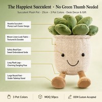 Vente en gros de plantes succulentes artificielles en peluche, 3 couleurs, mignonnes, en pot, décoration d'intérieur, jouet en coton PP rembourré, fleur, 25 cm, unisexe