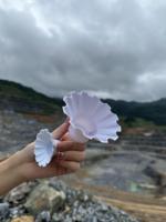 Bouchons de tirage robustes et durables résistants à l'usure pour l'exploitation minière en ciel ouvert, souterraine et en carrière
