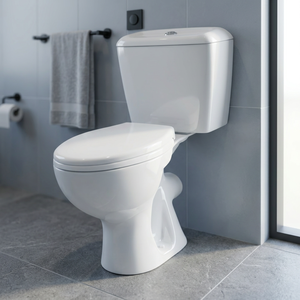 Luxury Ceramic Two Piece Water Closet Toilet Round EWC Biblock WC Close Coupled P <b>Trap</b> S <b>Trap</b> Floor Mounted - Product Image 1