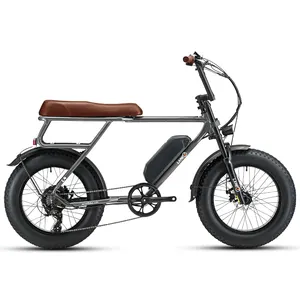 Customized Electric Bikes Long Seat Dual Battery Dual Motors Optional Fat Snow Retro Ebike With Stock Place