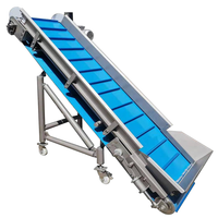 Machine automatique à éplucher les pommes de terre, ligne de traitement des frites et des patates douces, de petite capacité