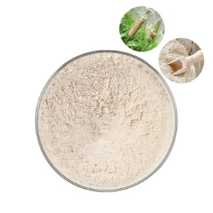 100% Serat Alami Kelas Atas Vegan Bubuk Kulit Psyllium Ekstrak Herbal Kualitas Makanan MOQ 1kg - Product Image 1