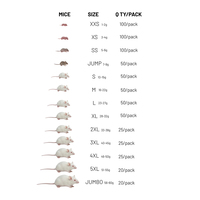 Souris entières lyophilisées pour reptiles/serpents, nourriture pour animaux de compagnie, haute teneur en protéines, alimentation naturelle à base de proies entières, complément carnivore