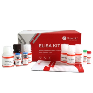 Kit ELISA pour le ghreline/hormone de croissance humaine (GHRL) - Product Image 1
