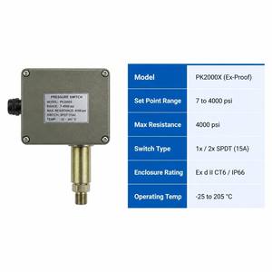 Interruptor a Prueba de Explosiones IP66 de Aluminio Fundido y Acero Inoxidable PK2000X Ex d II CT6 Certificado Industrial 7 4000 - Product Image 3