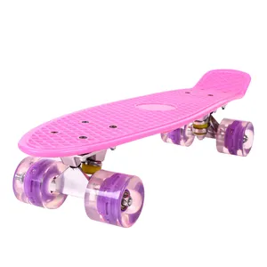 Factory Promotion High Quality Wholesale Penny Skate Board 22 Inch Skateboard Penny Board