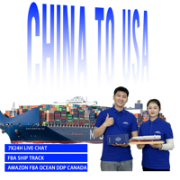 Agente de Carga para Vendedores de FBA, Envío de China a Canadá, Reino Unido, UE, Australia, México, Transporte Marítimo, LCL, FCL, Almacén, Entrega, Aduanas