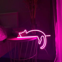 Conçu sur mesure en forme de chat intérieur/extérieur LED enseigne au néon alimentation cc pour la maison vétérinaire parc bureau voiture éclairage Taxi publicité