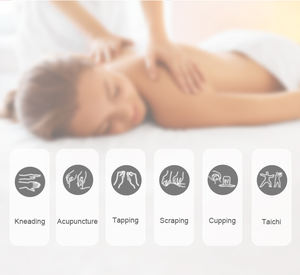 Machine de thérapie numérique DOMAS Tense Nouveau masseur de douleur dans les jambes 10 pièces de rechange sans intensité Corps en métal pour le soulagement de la douleur - Product Image 3