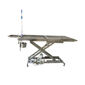 304 Stainless Steel <b>Electric</b> Lifting <b>Table</b> Cross Base Hospital <b>Table</b> For Pet Hospital - Product Image 1