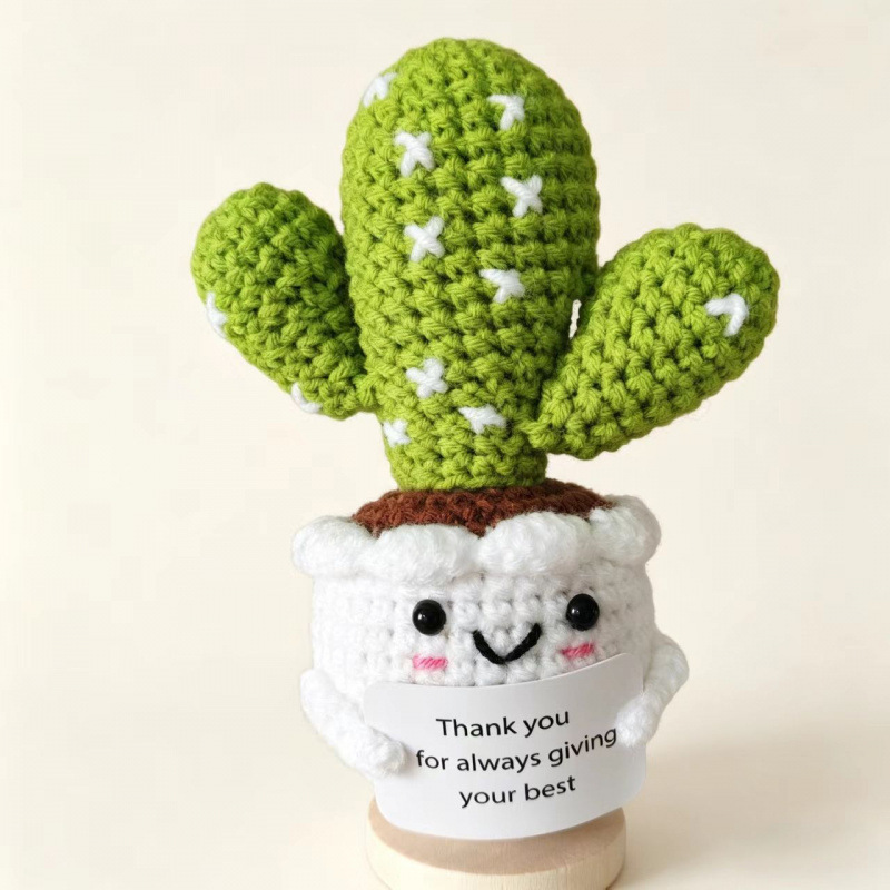 Planta de cactus en maceta