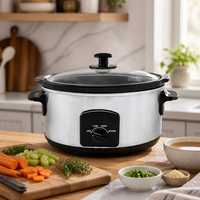 Homedaily Mijoteuse Électrique Manuelle 4,8 L avec Contrôle Mécanique de la Température, 3-en-1 : Mijoteuse, Marmite à Soupe et à Bouillie pour la Maison