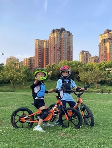 Chine FXB 12 "16" 20 "vélo d'équilibre électrique pour enfants <span class=keywords><strong>avec</strong></span> batterie au lithium 36v capacité 2.5/5.0ah vélo de conception populaire pour les enfants - Product Image 3