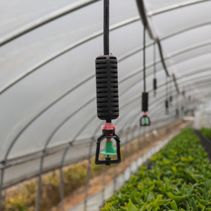 Chi Phí Thấp Đường Hầm Nhà Kính Mạ Kẽm Khung Thép Duy Nhất Khoảng Pe Phim Nông Nghiệp Nhà Kính Cho Cà Chua Nhà Máy - Product Image 6