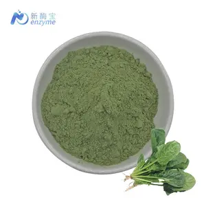 China Supplier Wholesale Bulk 100% Natural Organic Water Spinach Powder