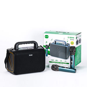 SZ-B001MIC En gros Enceinte Karaoké Portable Bluetooth 80W avec DSP amélioré, Super Bass et Woofer pour Fêtes, pour KTV à Domicile et Extérieur - Product Image 2