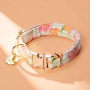 Collar para Perro Personalizado Talla S, Elegante, Moderno, de Lujo, Ajustable, Ligero, de Algodón Suave, con Patrón Exclusivo Impreso - Product Image 1