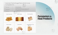 Machine professionnelle de barre de bonbons aux noix chauffage au gaz snack machine de barre de protéines d'arachide praline nougat ligne de production