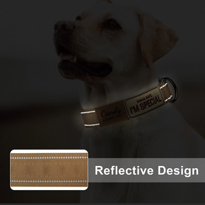 Gran oferta, Collar de perro bordado personalizado con rayas reflectantes, nombre personalizado, etiqueta de teléfono ajustable para perros medianos y grandes - Product Image 4