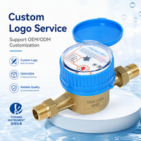 Compteur d'eau en laiton à jet unique DN15, norme ISO4064, type DTY, protection IP68, eau froide, horizontal, OEM, précision classe B