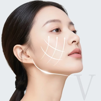 Nouveaux produits en gros Masseur de levage du visage et du cou Dispositif de levage du visage en V