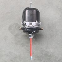 Ensemble de chambre de frein à ressort pneumatique 9253211600 T24/24DP T3030 T1624 T2024 pour système de freinage d'essieu de camion lourd et remorque MB 24V