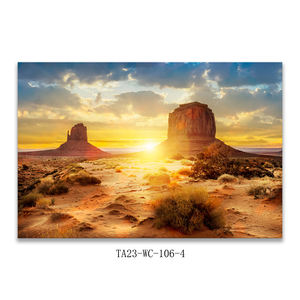 Paisaje pintura lienzo impresión puesta de sol África desierto cactus imagen impresión <span class=keywords><strong>cartel</strong></span> pared arte decoración del hogar - Product Image 4