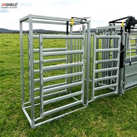 Système de manutention robuste pour bétail avec portillon – Outil de gestion du bétail