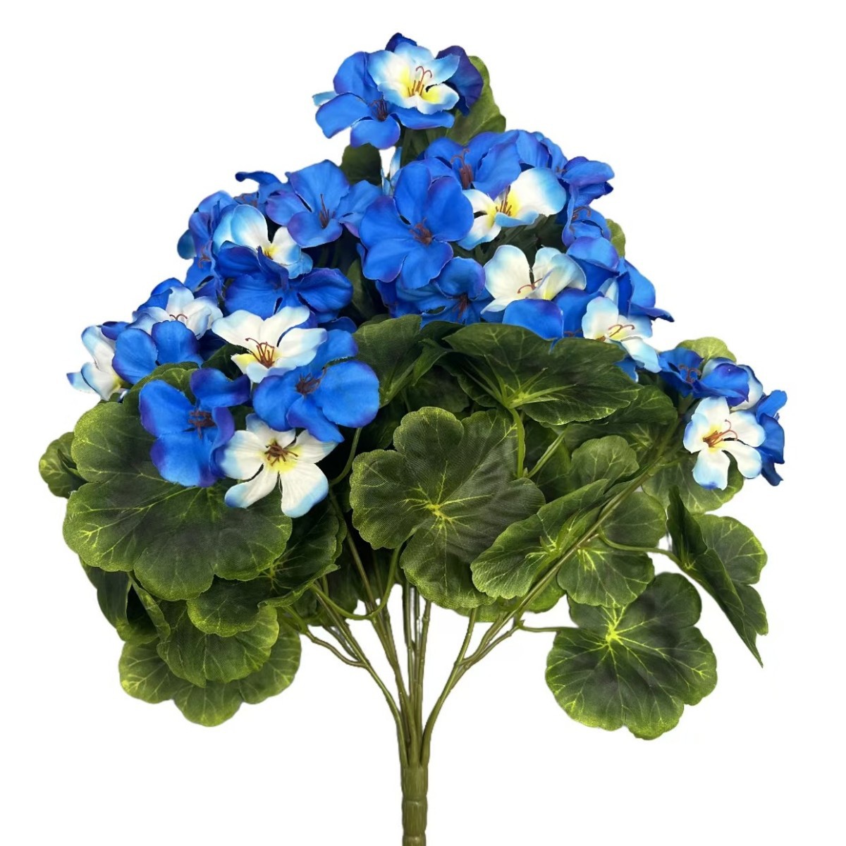8 blue