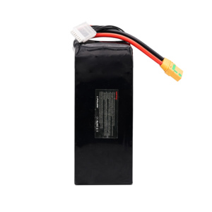 Batterie Lipo 22,2V 25C 6S Décharge à basse température 16000mAh Batterie de drone FPV pour <span class=keywords><strong>Traxxas</strong></span> 8S 4WD RTR Monster Truck Drone FPV - Product Image 4