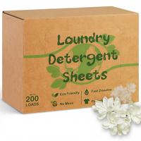 Tablettes de lessive OEM/ODM 200 feuilles Parfum Linge Frais Écologiques Hypoallergéniques Sans Plastique Faible Formation de Mousse