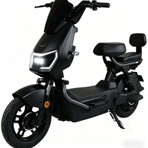 Scooter Eléctrico de Alto Rendimiento 2025, 800W, 48V 60V, Batería de Plomo-Ácido de 20Ah, Estilo Retro Urbano, con Cargador de 110V, Diseño Moderno - Product Image 1