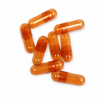 Fabricant Impression de logo personnalisée Capsules HPMC vides transparentes Taille 0 00 Capsules végétariennes transparentes