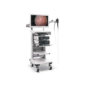 550s Sub GI Endoscopio veterinario Gastroenteroscopio y <span class=keywords><strong>enteroscopio</strong></span> - Product Image 2