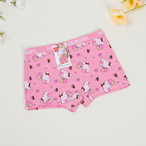<span class=keywords><strong>Mutandine</strong></span> per bambini UOKIN per le ragazze di 4-10 anni bambini simpatici cartoni animati stampa Boxer biancheria intima <span class=keywords><strong>in</strong></span> dozzine di confezione all'ingrosso di 12 pezzi - Product Image 3
