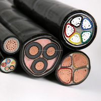 Cable de alimentación de baja tensión de cobre PVC HENAN GUOWANG VAV 600V 1000V 3X35MM 1X16MM 3X95MM 1X50MM2, retardante de llama IEC para estaciones de energía