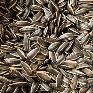 <span class=keywords><strong>Semillas</strong></span> <span class=keywords><strong>de</strong></span> <span class=keywords><strong>Girasol</strong></span> Orgánicas Peladas <span class=keywords><strong>de</strong></span> Alta Calidad al por Mayor Directamente <span class=keywords><strong>de</strong></span> Fábrica para Alimentos, Paquete <span class=keywords><strong>de</strong></span> 25 kg -363 361 - Product Image 3