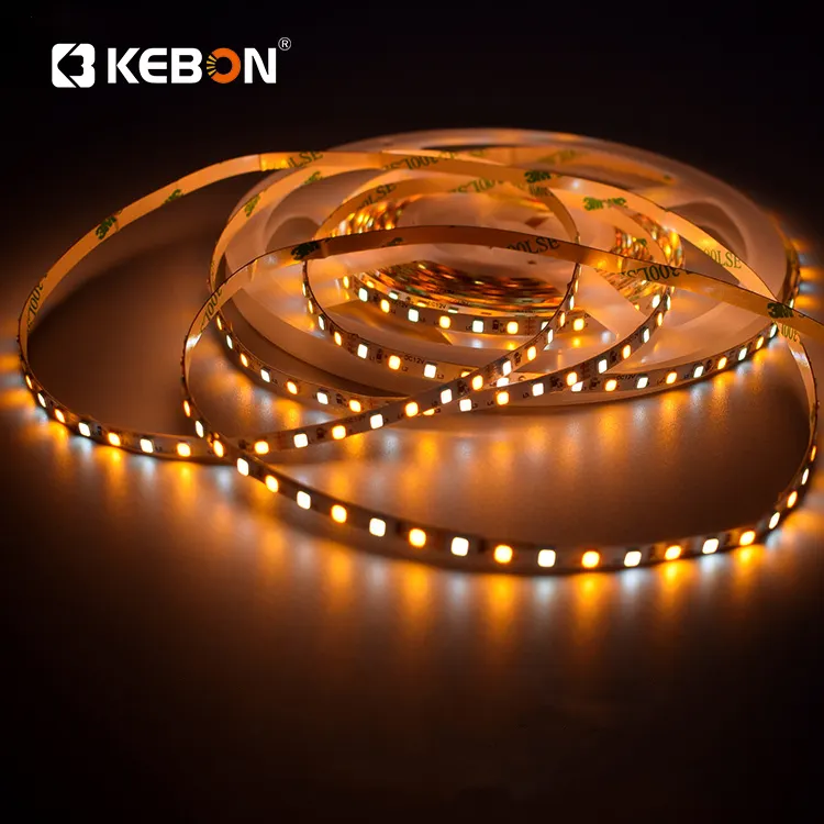 Promosi Luar Ruangan Dua Warna Taman Halaman Taman Dekorasi 2835 12V 16W Fleksibel SMD Neon Cahaya Led Strip Lampu