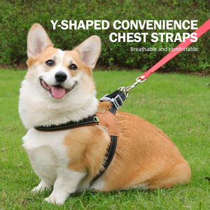 Arnés y Correa para Perro al por Mayor, el Más Popular, Chaleco de Entrenamiento Antitirones para Mascotas, Ajustable, Reflectante, para Caminar - Product Image 2