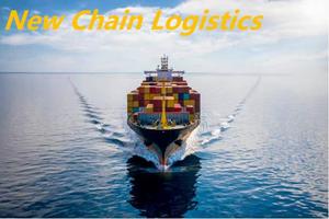 <span class=keywords><strong>Shanghai</strong></span> Logistiek Bedrijven Zee Scheepvaart Import Uit China Naar Usa Ca - Product Image 6