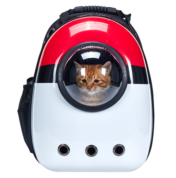 DHDHWL Mochila para Mascotas Mochila Portadora De Gatos para Kitty Puppy  Chihuahua Pet Carrier Cápsula Transparente Transpirable Bolsa De Gato De  Viaje Al Aire Libre Cachorro @ A : Amazon.es: Productos para